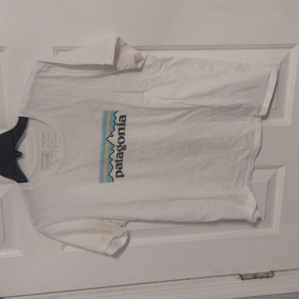Patagonia white Tishirt